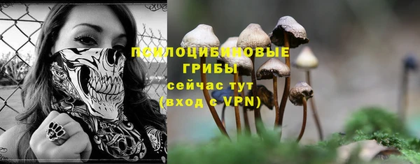 дживик Нязепетровск