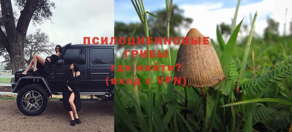 дживик Нязепетровск