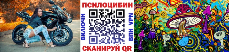 Купить  Славгород  Псилоцибиновые грибы мухоморы 